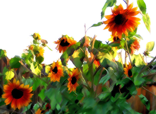 796277 (a): :2011x1475